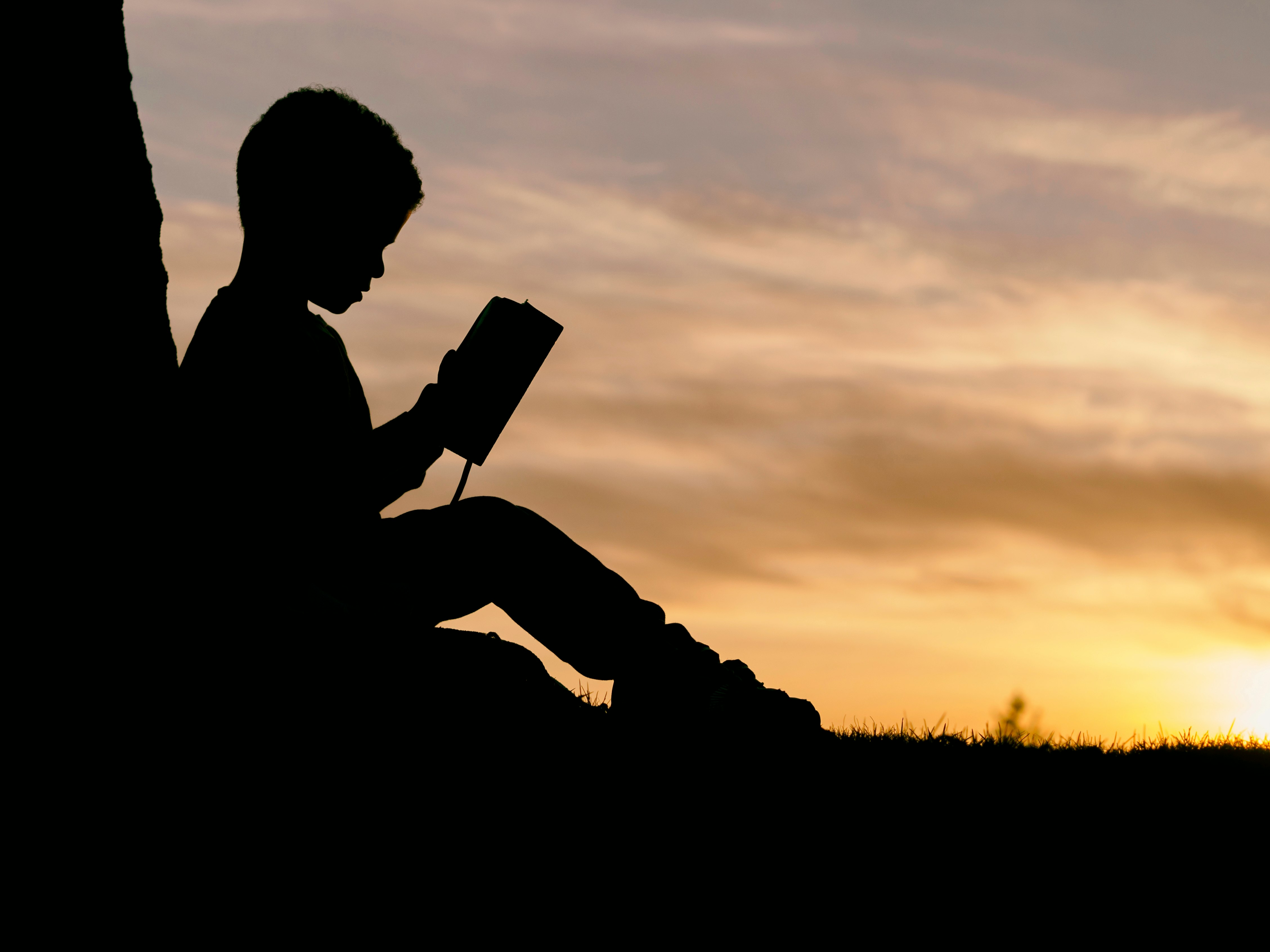 В Ямале стартует интерактивная литературная игра «Книжные альянсы»