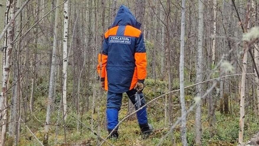 СК предпринимает новые меры для поиска пропавших Усольцевых